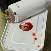 可能是壁蝨的圖像
