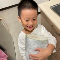 可能是西瓜的圖像