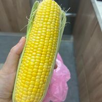 可能是食物的圖像