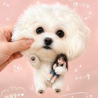可能是狗、玩具和顯示的文字是「麻吉 握一下c 星一下 タピタ 小小一隻 被寵愛中 拎起來了」的圖像