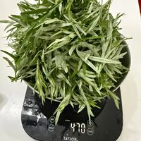 可能是頭狀薰衣草的圖像