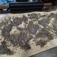 可能是巴布卡麵包的圖像