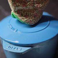 可能是情侶鸚鵡、泡茶器和文字的圖像