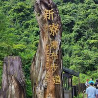 可能是樹和顯示的文字是「新 原祭 味 祭 道 自」的圖像