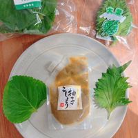 可能是豆腐、紫蘇和文字的圖像