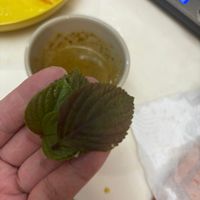 可能是食物和紫蘇的圖像