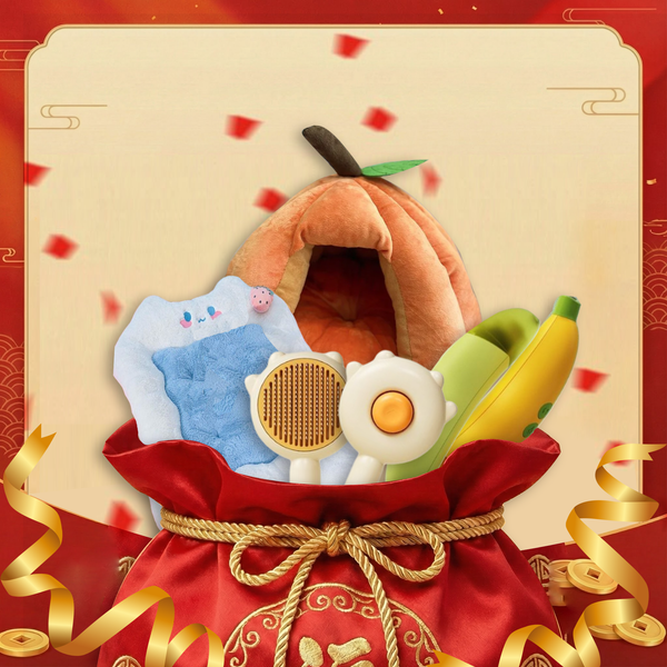 【AMZ過年特別版】2026 美力進階福袋系列