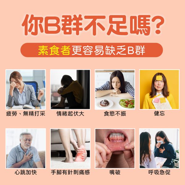 能量速補(全素)｜啤酒酵母B群｜維持能量正常代謝