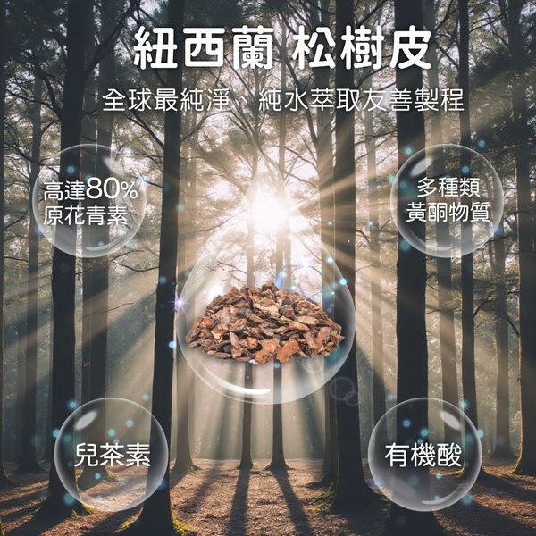 拾光之境(全素)｜薑黃Q10｜有助於調節生理機能