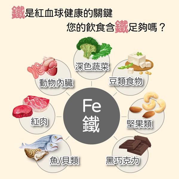月月紅潤(全素) | H61鐵 | 有助於正常紅血球形成  女性保養