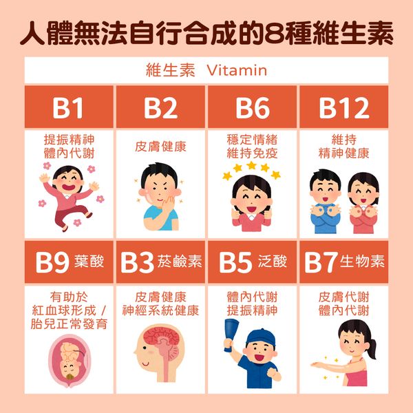 能量速補(全素)｜啤酒酵母B群｜維持能量正常代謝