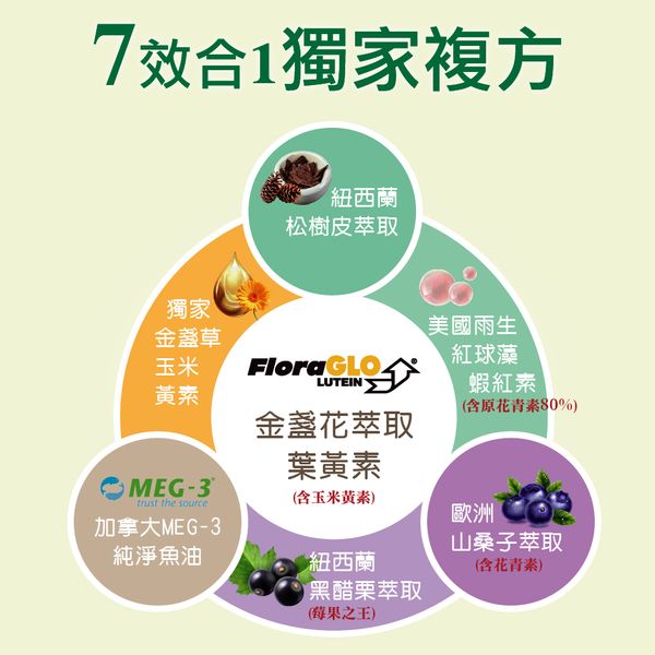 瞳之光｜葉黃素 魚油 軟膠囊 金盞草 松樹皮 蝦紅素 黑醋栗 山桑子｜水潤舒適