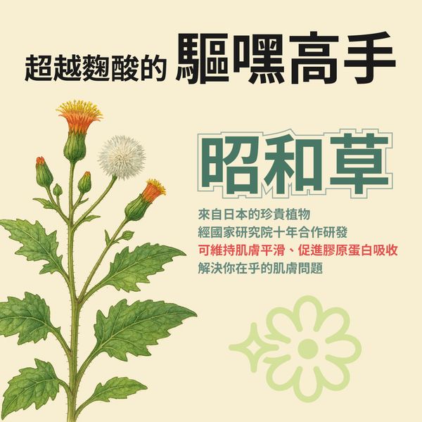 玩美朝妍(全素) | 昭和草血橙 | 保護皮膚 亮采氣色  朝氣抗氧